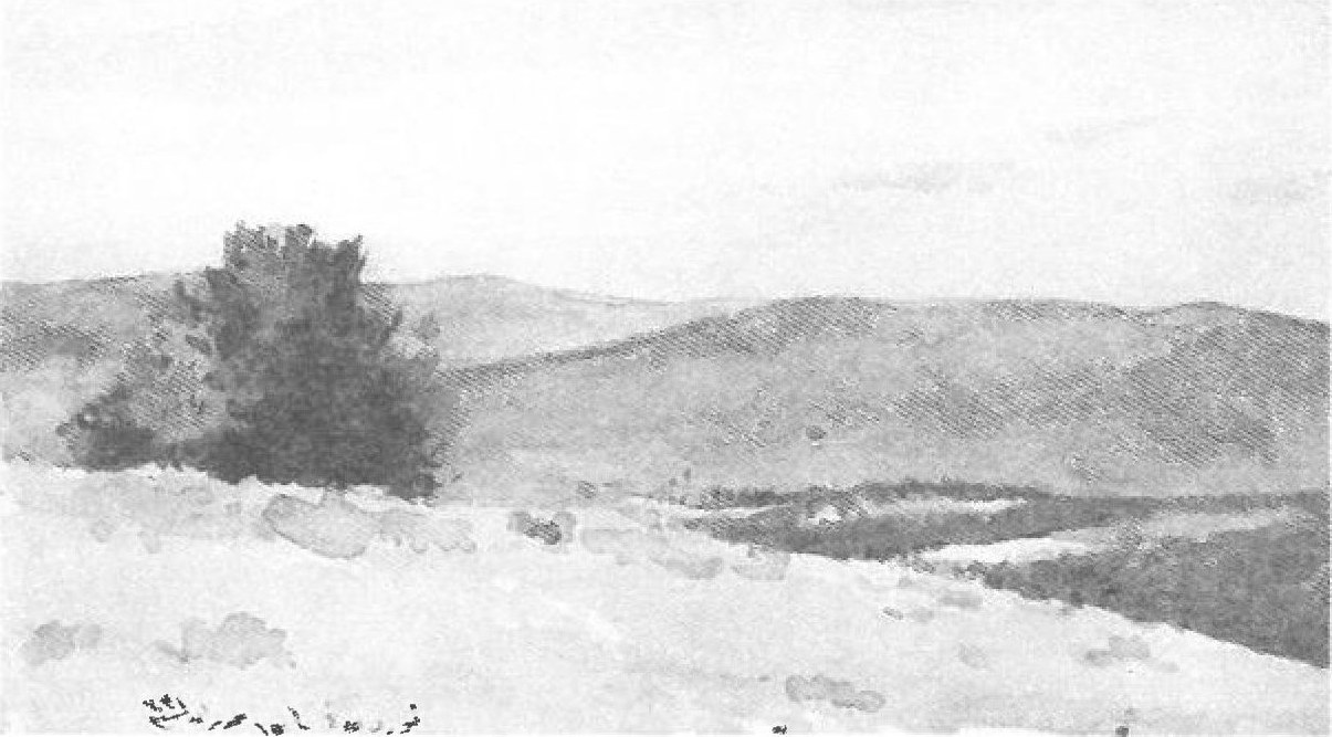 Meeting at Anzac Cove (Anzak Koyu), 25 April 1985