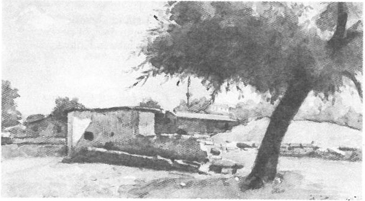 Watercolour — ruined walls beside a great tree